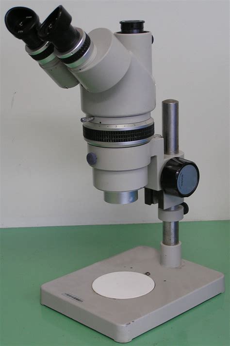 stereo microscope description.